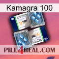 Kamagra 100 viagra5